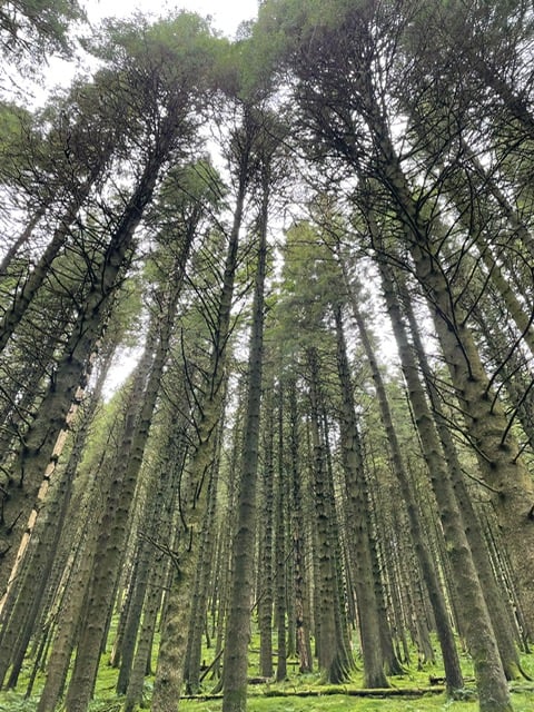 Natuur 2